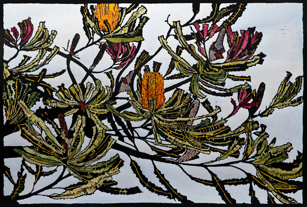 Banksia