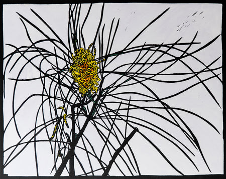 Yellow Banksia In Vase