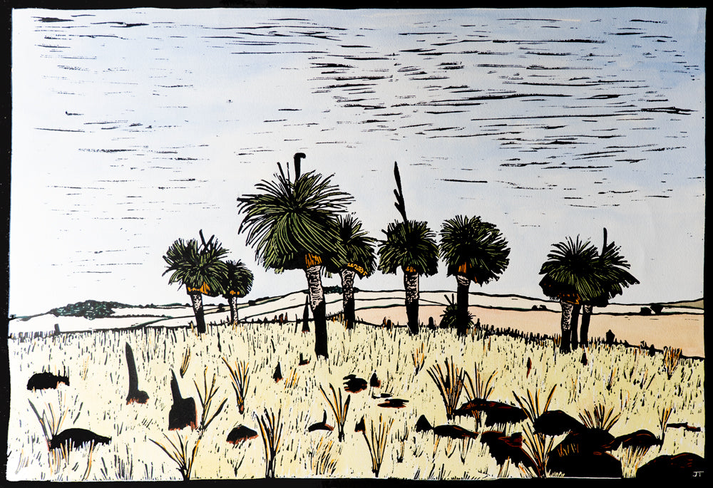 Grass Tree of Bagingarri