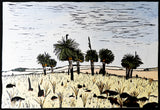Grass Tree of Bagingarri