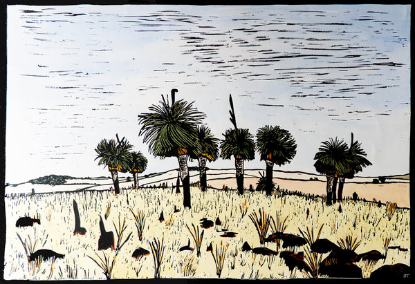 Grass Tree of Bagingarri