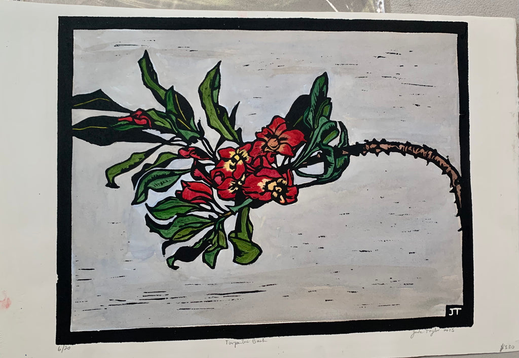 Turpentine Bush