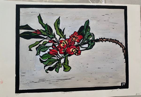 Turpentine Bush