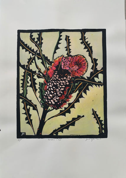 Banksia and Nut