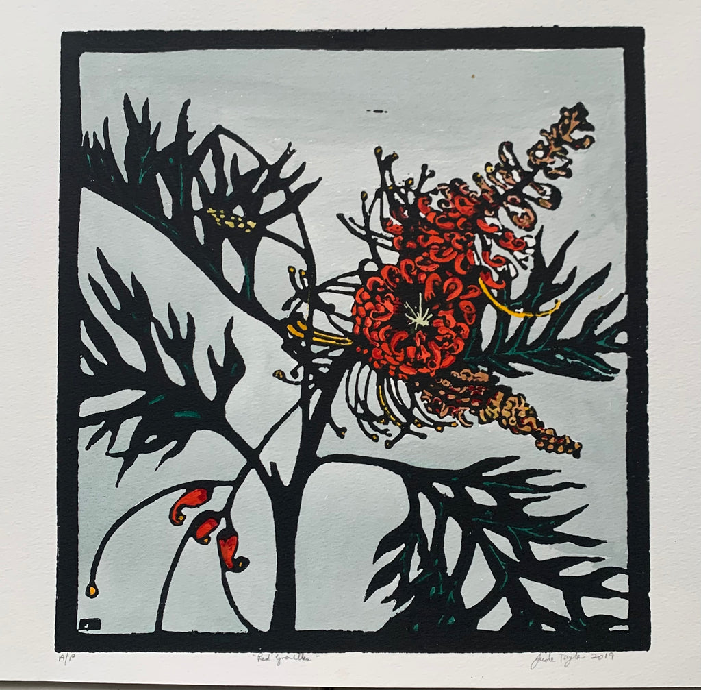 Red Grevillea