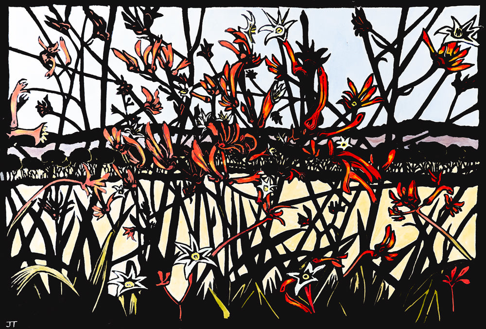 Kangaroo Paw and Valley