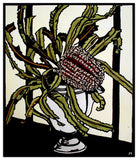 Banksia In Vase