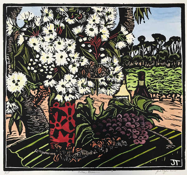 Mallee Blossoms
