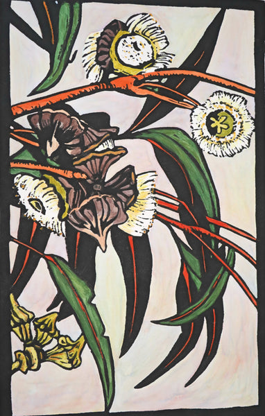 Eucalyptus coronata