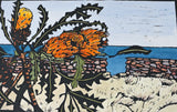 Gnaraloo and Banksia