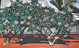 Frangipani trees in Broome