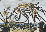 Wattle and Ocean