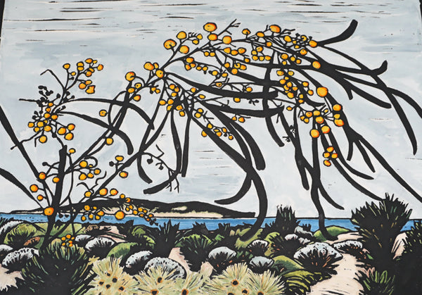 Wattle and Ocean