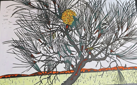 Pilbara landscape