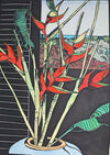 Ginger plant and mangroves