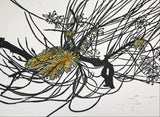 Bush flowers