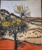 Cork Tree Hakea